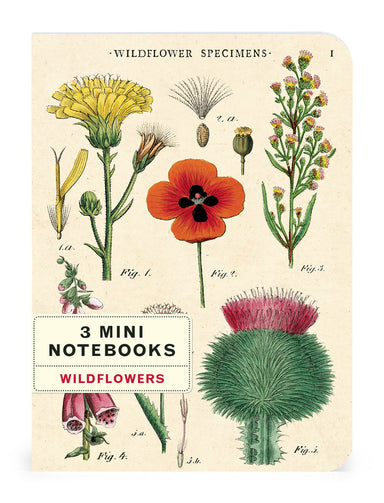 Each of the three Mini Notebooks features 96 pages of either lined, blank or graph paper. 