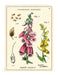 The Mini Notebooks measure 4 by 5.5 inches. 