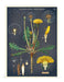 Cavallini & Co. mini notebook set- new for 2018- Wildflowers.