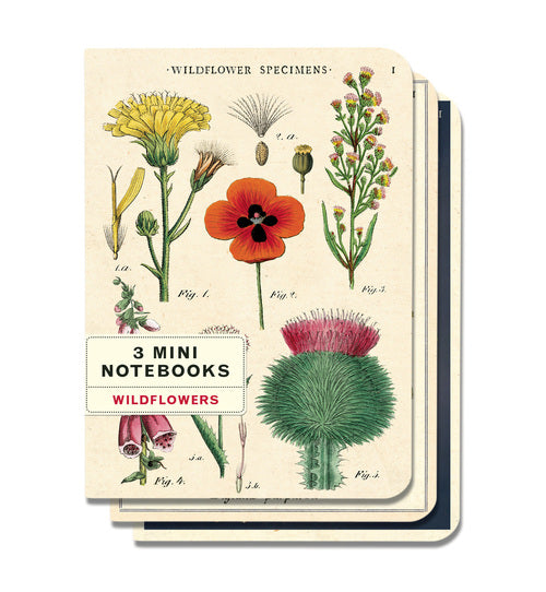 Cavallini & Co. Wildflower Specimens Mini Notebook Set
