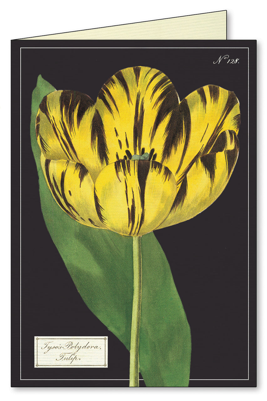 Cavallini & Co. Botanica Boxed Notecards