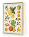 Cavallini  boxed notecards are perfect for everyday greetings, thank you's, or as a gift card. 