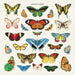 Cavallini & Co. Butterfly Cotton Napkins- Set of 4