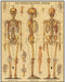 Finished puzzle measures 20 by 28 inches.
