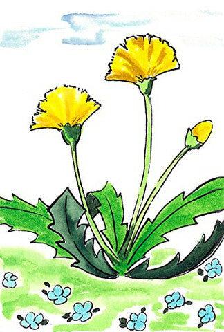 Sai Watercolor Brush Pens- Spring Color Set of 5 (set A)