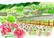 Spring color set allows for a wide range of colors in your art work. 