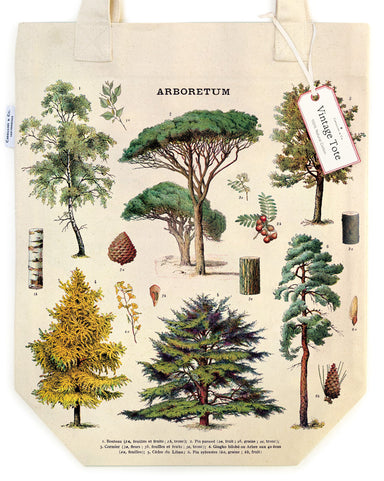 Arboretum Tote Bag features beautiful detailed vintage images of trees, their leaves, seeds, cones, and trunk details.