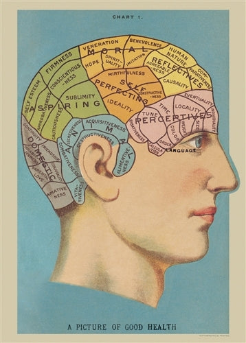 Cavallini Phrenology Decorative Wrap features a colorful vintage image. 