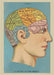 Cavallini Phrenology Decorative Wrap features a colorful vintage image. 