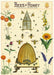 Cavallini introduced their Bees and Honey wrap a few year back, and it is still one of their most popular. 