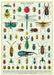 Cavallini & Co. Bugs & Insects Decorative Paper