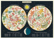The new Constellations 2 by Cavallini & Co. is ready for framing!