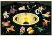 Cavallini & Co. Zodiac Signs Decorative Wrap