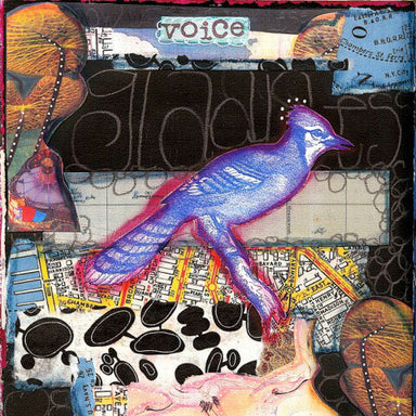 Collage Play Bird